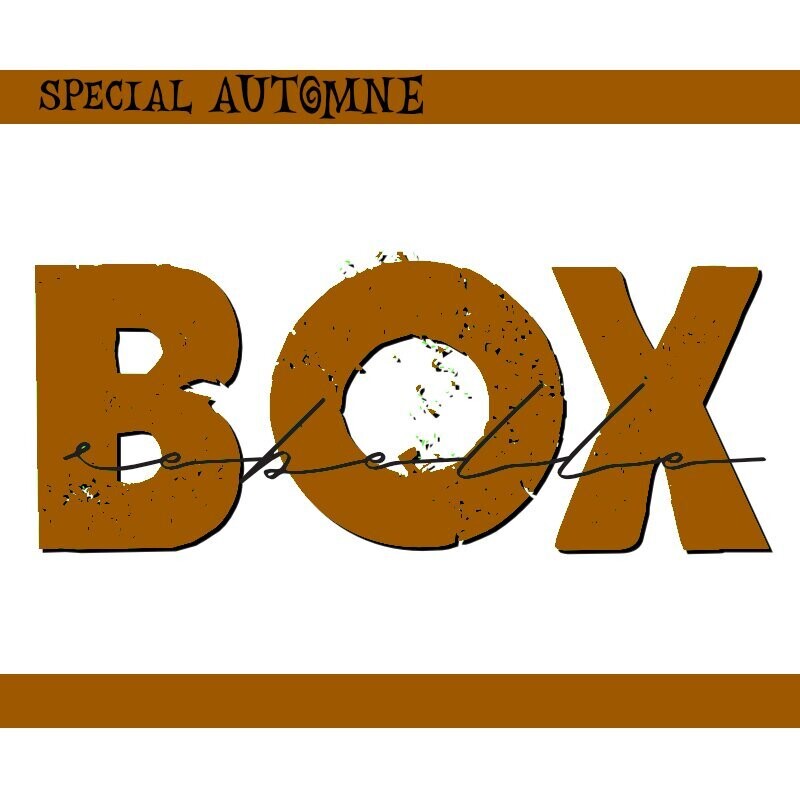 BOX Rebelle "Spécial automne"