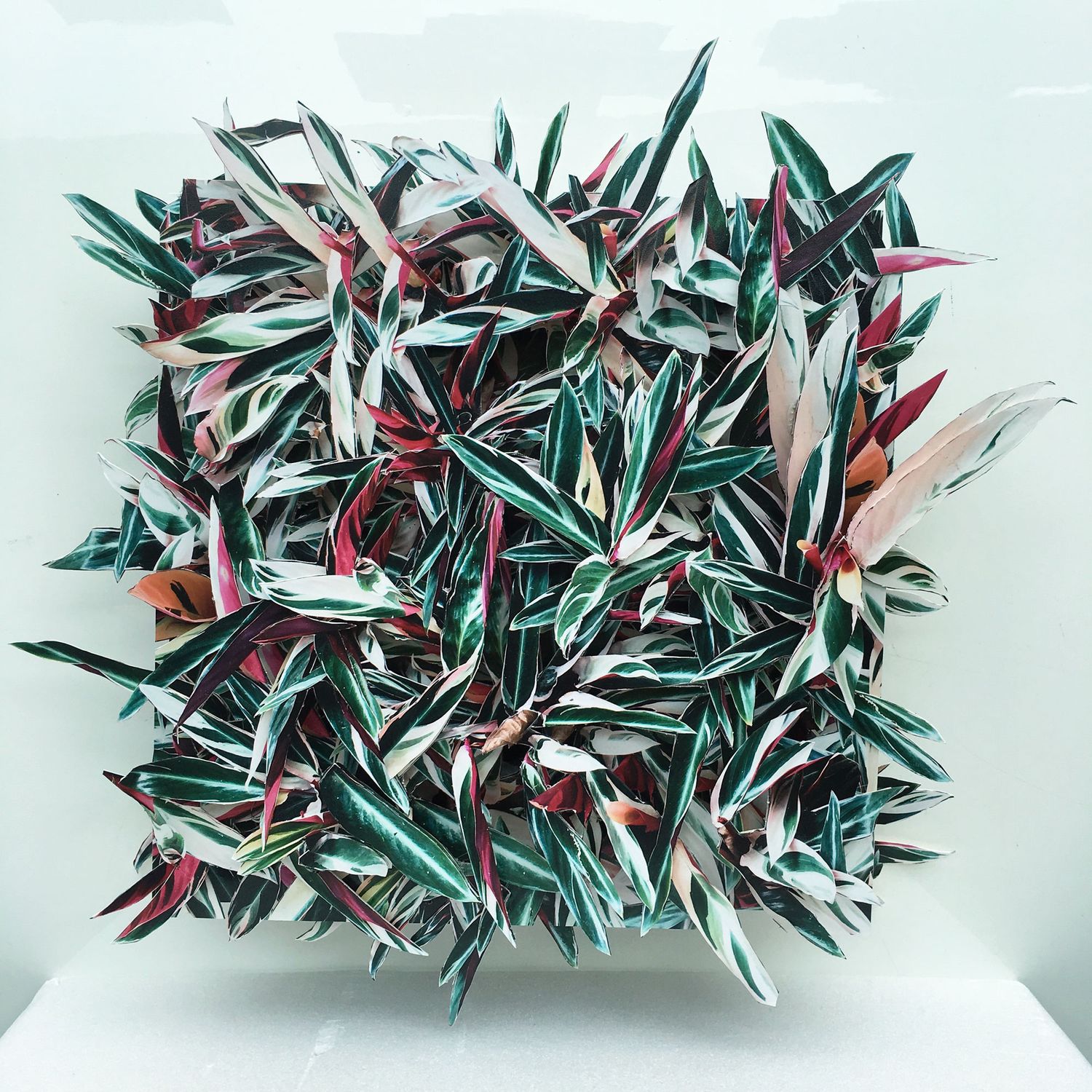 Hong Kong Flora #1 - Unique artwork