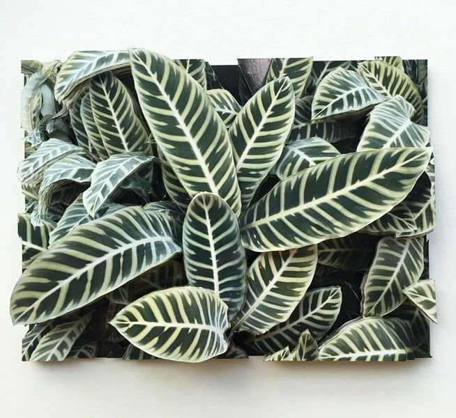 Hong Kong flora #4 - Unique artwork