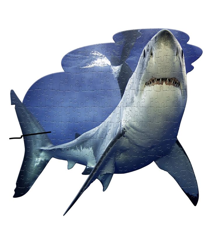 Madd Capp LiL' SHARK 100 Piece Jigsaw Puzzle For Ages 5+ - 4013 - Unique Animal-Shaped Border, Poster Size when completed, Oversized Puzzle Pieces For Easy Handling, Includes Educational Fun Facts
