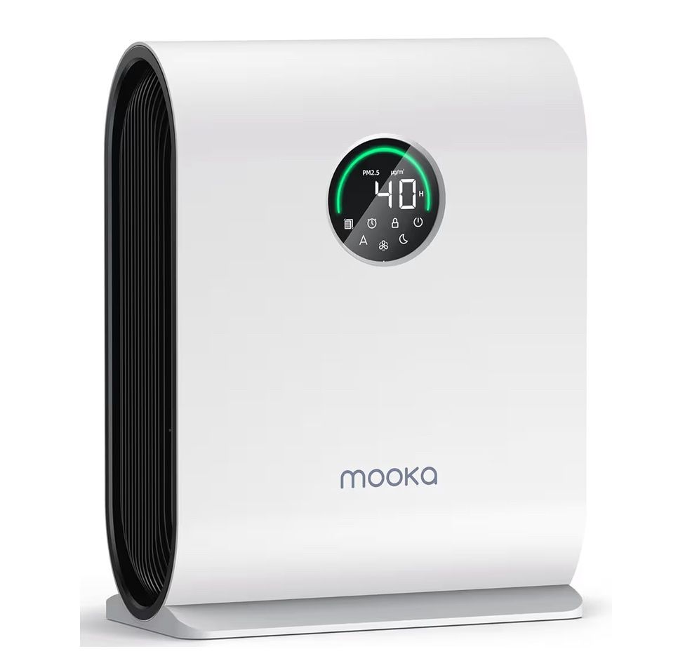 Air Purifiers for Home Large Room Up to 2500 ft²