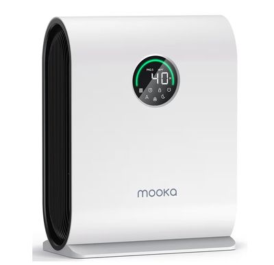 Air Purifiers for Home Large Room Up to 2500 ft²