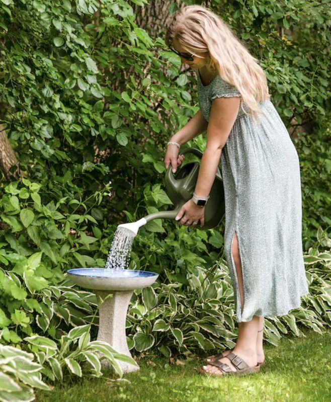 Sunnydaze Decor 16-in H White Ceramic Complete birdbath