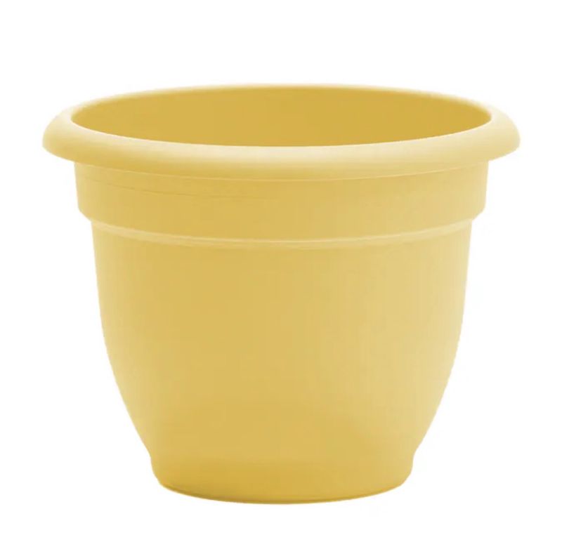 Round 8.75-in W × 8.75-in  Plastic Indoor/Outdoor Self Watering Planter