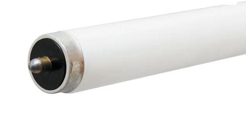GE Cool White T8 Shop 59w 5,900 24,000 T8 Lists Lumens Diameter 25 mm F96T8 SPX41 Hours Single Cool White Light 100+ bought last week 59 -Watt EQ T8 Cool white Single pin base FA8 Fluorescent Tube Lig
