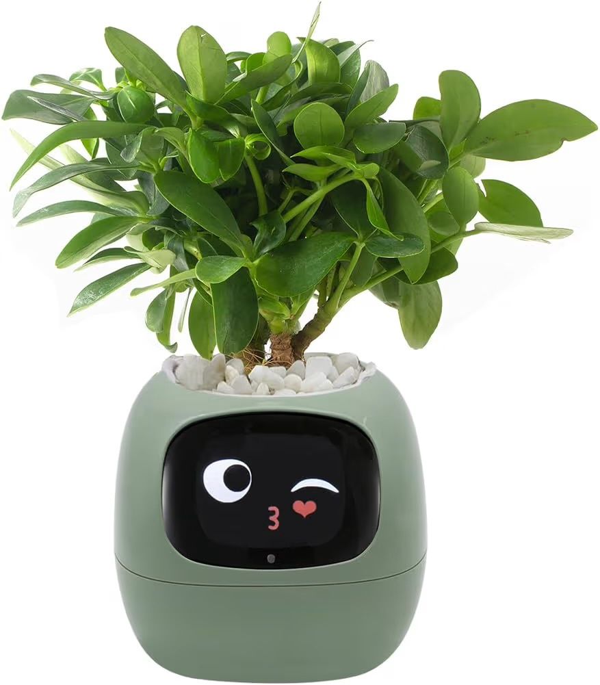 Smart Pet Planter