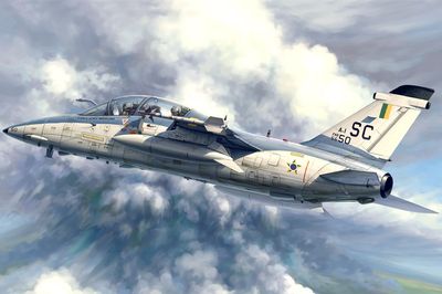 A-1B Trainer 1/48 #81744 by Hobby Boss