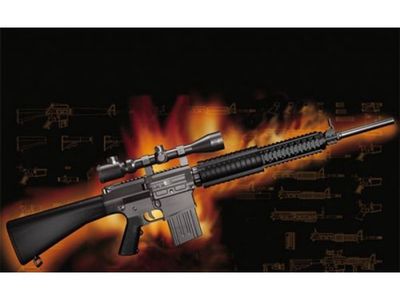 AR15/M16/M4 FAMILY-SR25 1/3 Scale #01913 by Trumpeter
