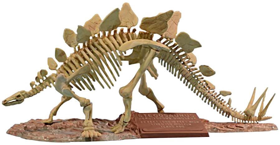 1/24 Stegosaurus Skeleton