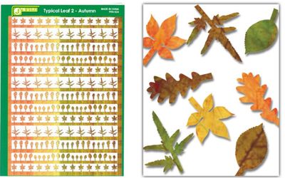 J's Work Multi-Scale Typical Autumn Yellow-Red Large Leaves (Colored Paper) (D) JWM-1024