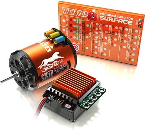 ESC Sensored Combo (1): Cheetah 1/10th 60A ESC with 17.5T Motor