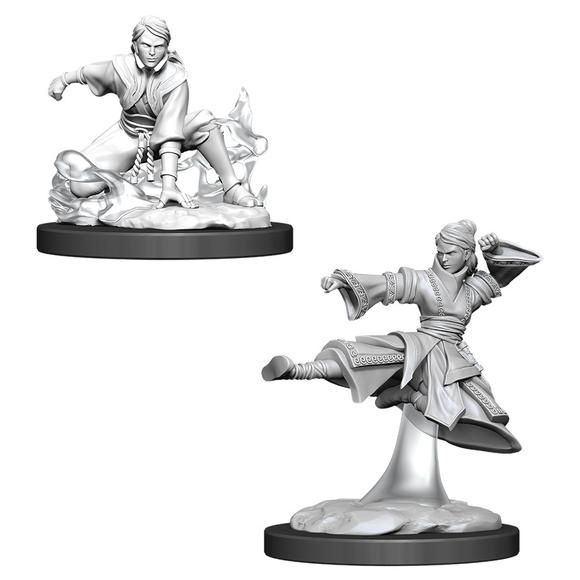 D&amp;D Unpainted Mini - Human Female Monk 90008