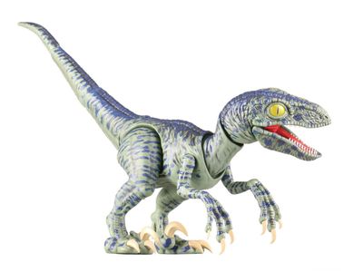 Velociraptor Our Dinosaur Diary