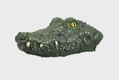 Mr. Croc 2.4G R/C Crocodile Head