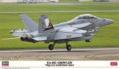 EA-18G Growler "VAQ-134 Garudas 2024" 1/72 #02487 by Hasegawa