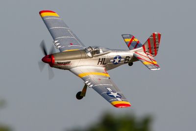 RageRC P-51D BL 500mm RTF Warbird - RGRA1600