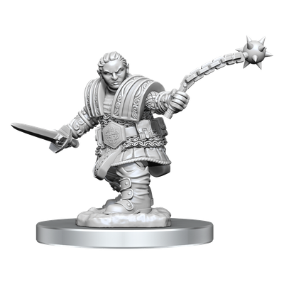 D&amp;D Unpainted Mini - Dwarf Fighter Female 90406