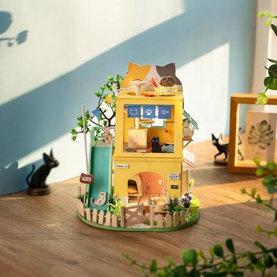 DIY House Cat House
