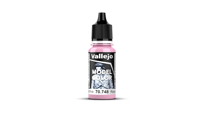 VAL70748 Model Color Light Pink (17ml) (42)