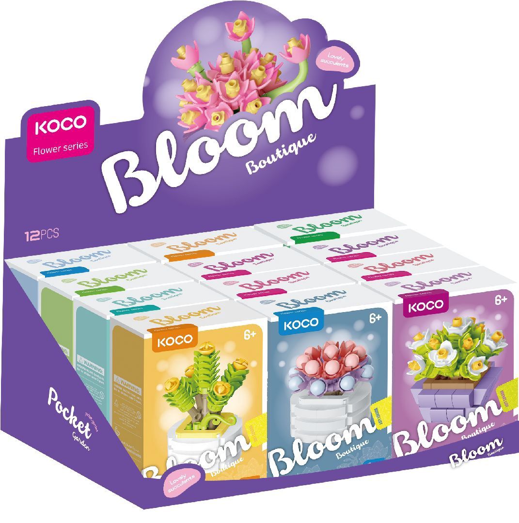 KOCO Succulent Potted Plants (EA)