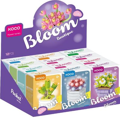 KOCO Succulent Potted Plants (EA)