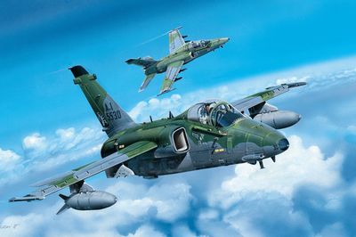 A-1A Ground Attack Aircraft 1/48 #81742 by Hobby Boss