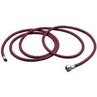 Passche 1/8X10 Braided Air Hose w/ Coupling