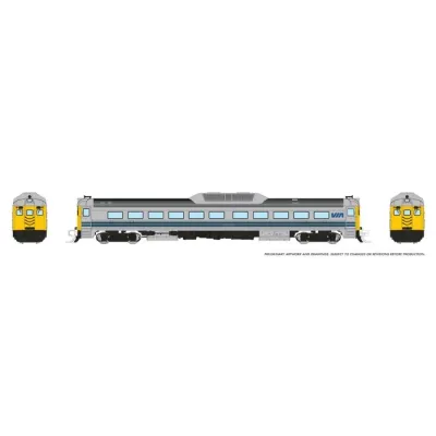 Rapido N Budd RDC-1 (Ph 2) (DC/DCC/Sound): VIA Rail - Early