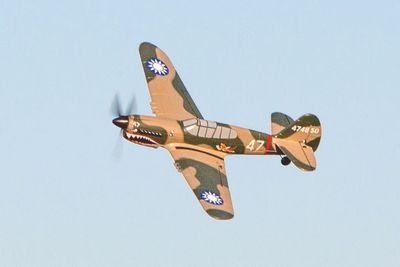 RageRC Curtiss P-40 Warhawk - RGRA1305