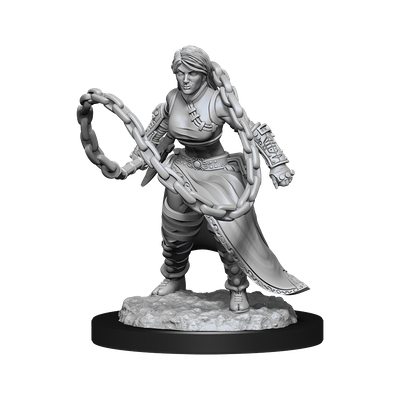 D&amp;D Unpainted Mini - Human Monk - Female 90225