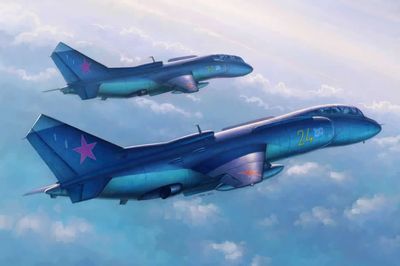 Yak-38U Forger B 1/48 #80363 by Hobby Boss
