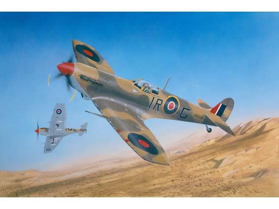 Supermarine Spitfire MK.Vb/Trop 1/24 #02412 by Trumpeter