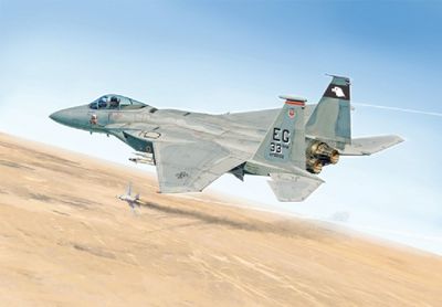 F-15C Eagle 1/48 #2763 by Italeri