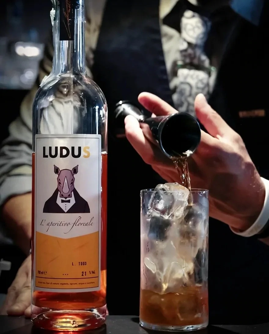 Ludus