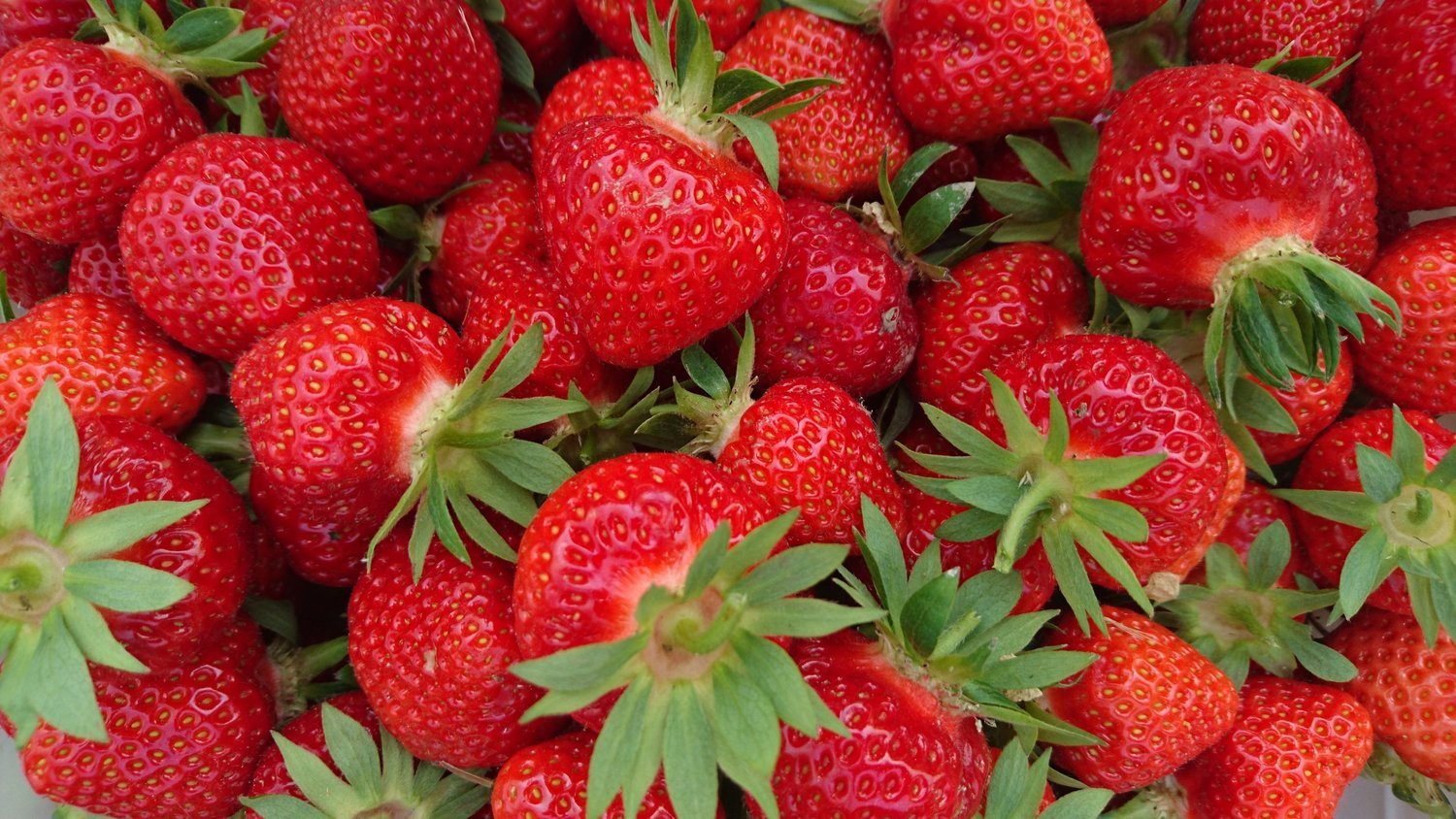 328 - Distillato di Fragola