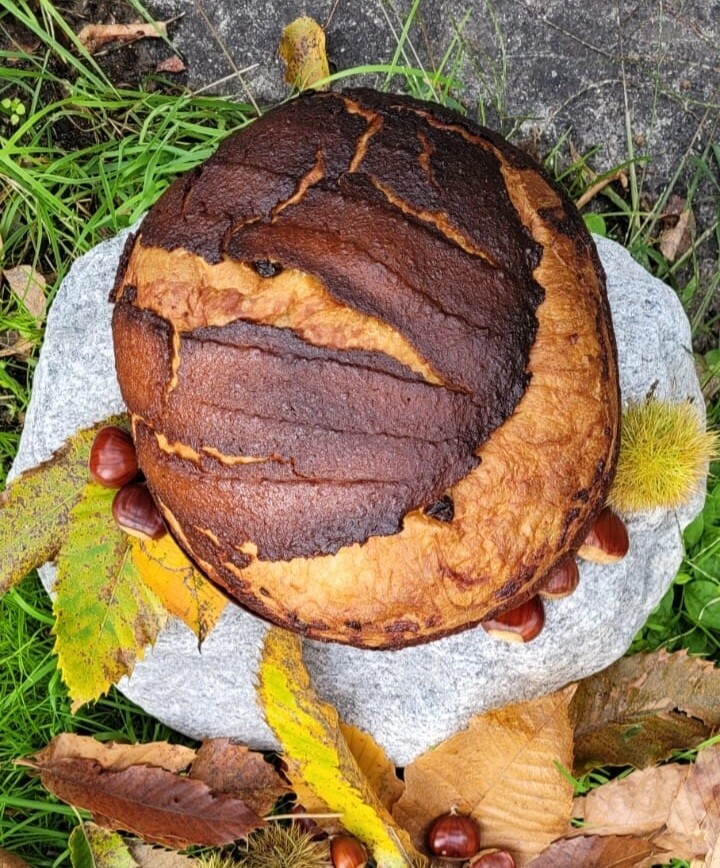 Il Castagnone 450g Prossima disponibilità SABATO 8.11.2025