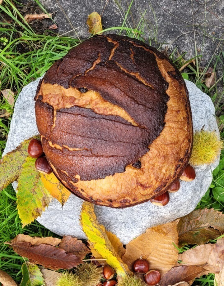 Castagnone 800gr Prossima disponibilità SABATO 8.11.2025