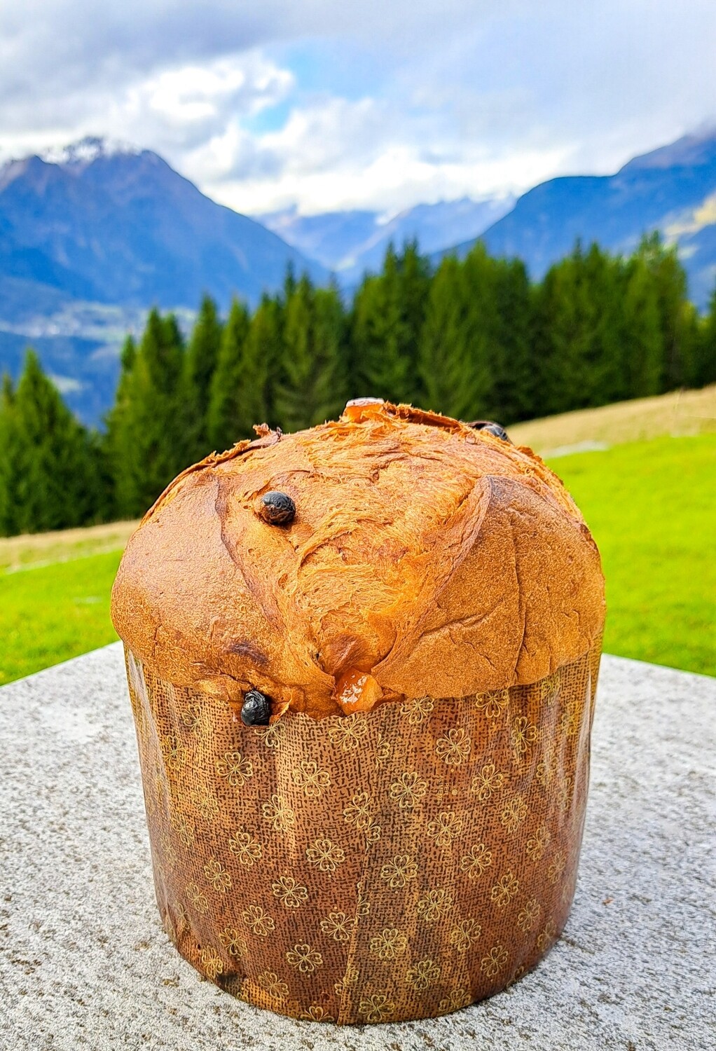 Panettone 750gr Prossima disponibilità sabato 8.11.2025