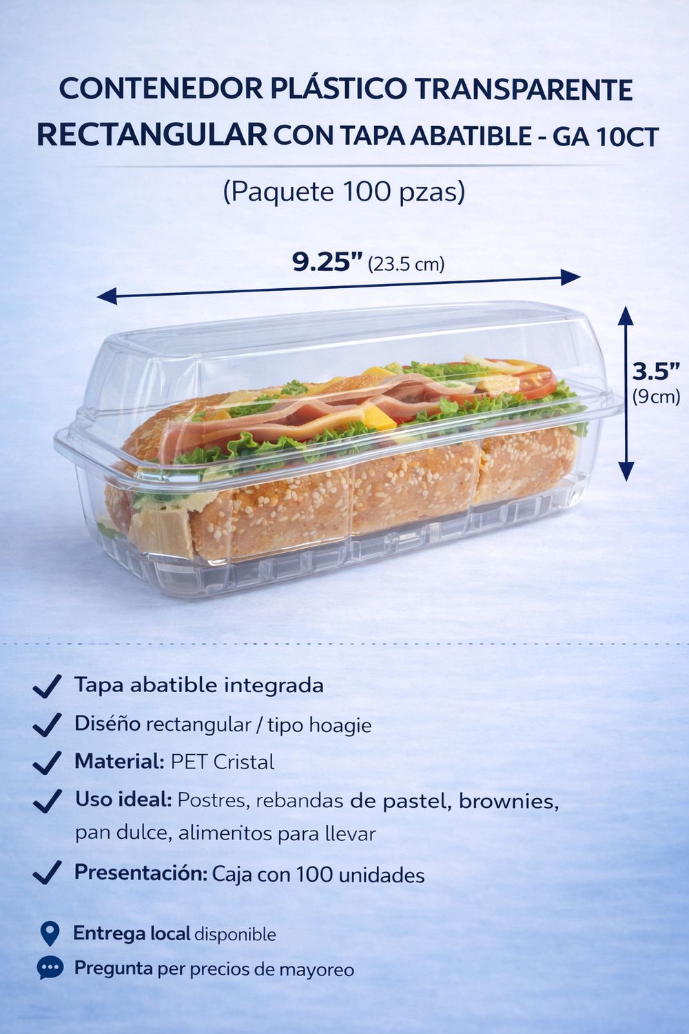 Clear Rectangular Plastic Container with Hinged Lid – GA 10CT (100-Count Pack)