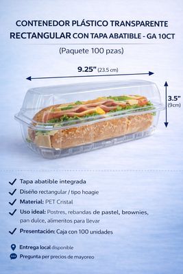 Clear Rectangular Plastic Container with Hinged Lid – GA 10CT (100-Count Pack)
