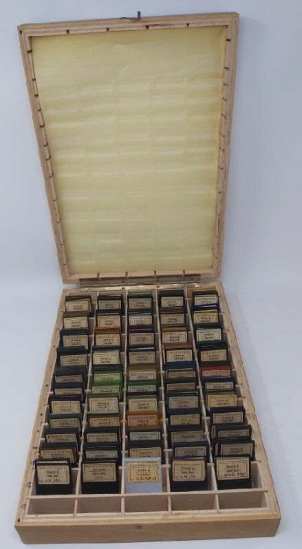 Cofanetto Legno Pantone Vetrini Colorati Saint-Just Gammatura Colori Vetro (Raro Curioso) Cofanetto Legno Pantone Vetrini Colorati Saint-Just Gammatura Colori Vetro (Raro Curioso)