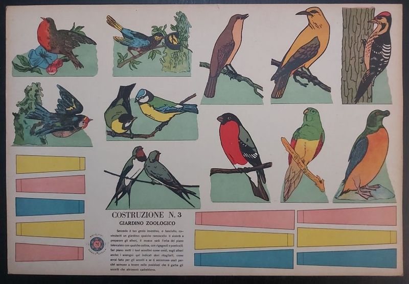 Cartoncino da Ritagliare Costruzione n 3 Giardino Zoologico Uccelli Edizioni Marca Stella