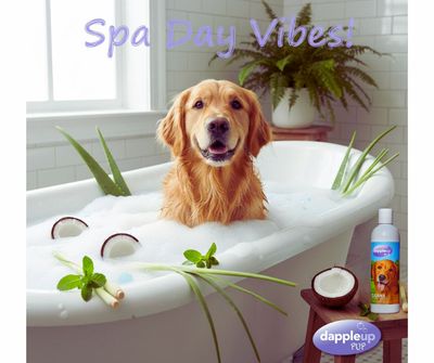 Top 5 Mistakes People Make When Washing Their Dogs