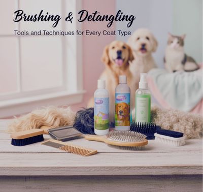Brushing &amp; Detangling: Tools and Techniques for Every Coat Type