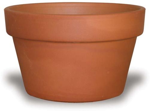 Azalea Pot 7″H X 10″W