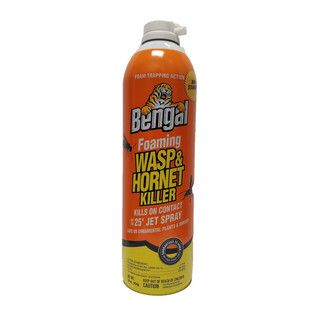 Bengal Foaming Wasp and Hornet 18oz