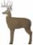 Block Glendel Buck