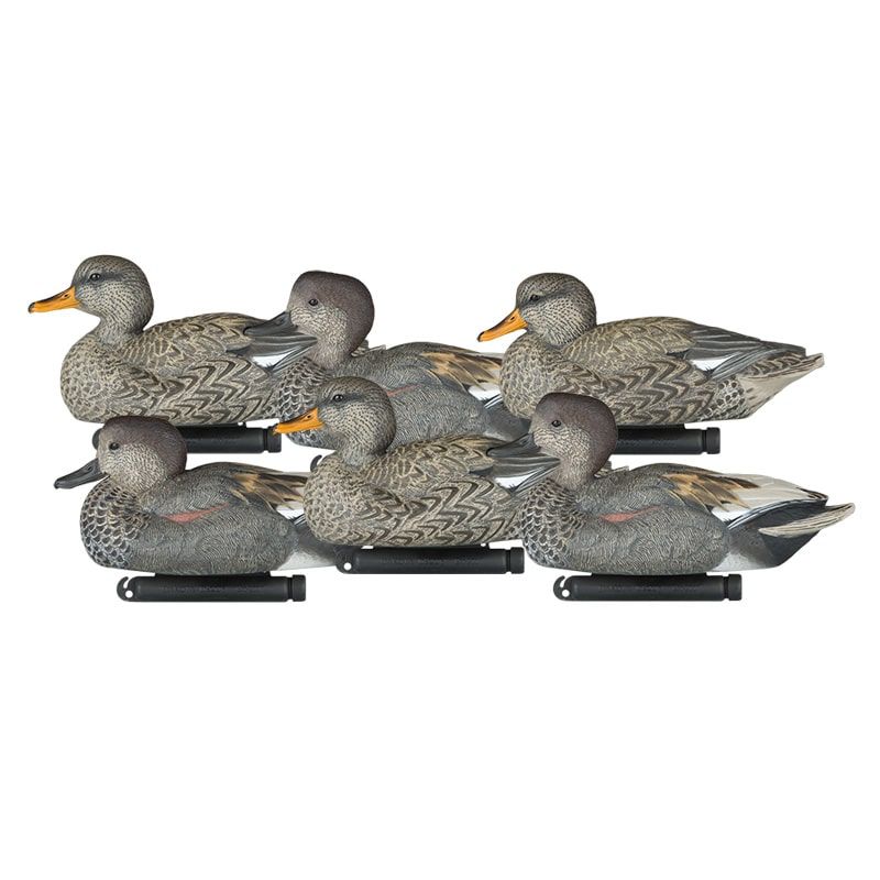 Dakota Gadwall 6 pack