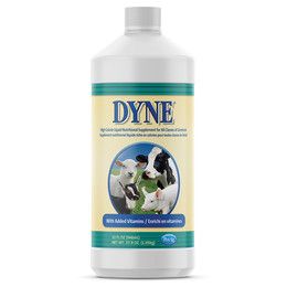 Dyne Livestock Supplement 32 oz.