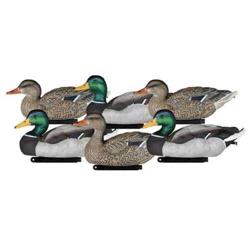 Dakota Packable Mallard Painted Head 6 Pack